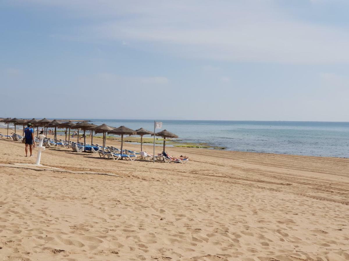 Azul Beach - La Mata Διαμέρισμα Τορεβιέχα Εξωτερικό φωτογραφία