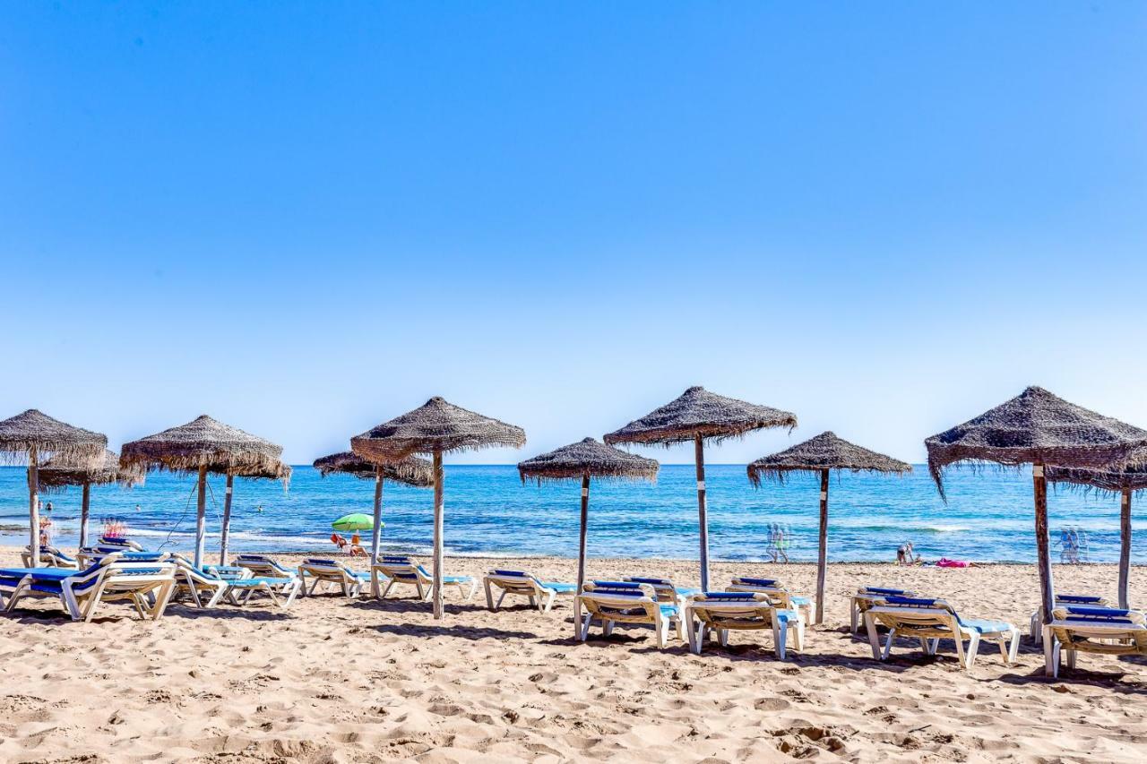 Azul Beach - La Mata Διαμέρισμα Τορεβιέχα Εξωτερικό φωτογραφία